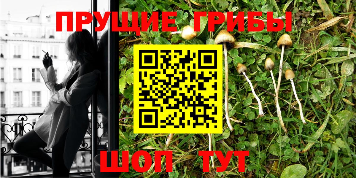 Псилоцибиновые грибы мухоморы Тольятти